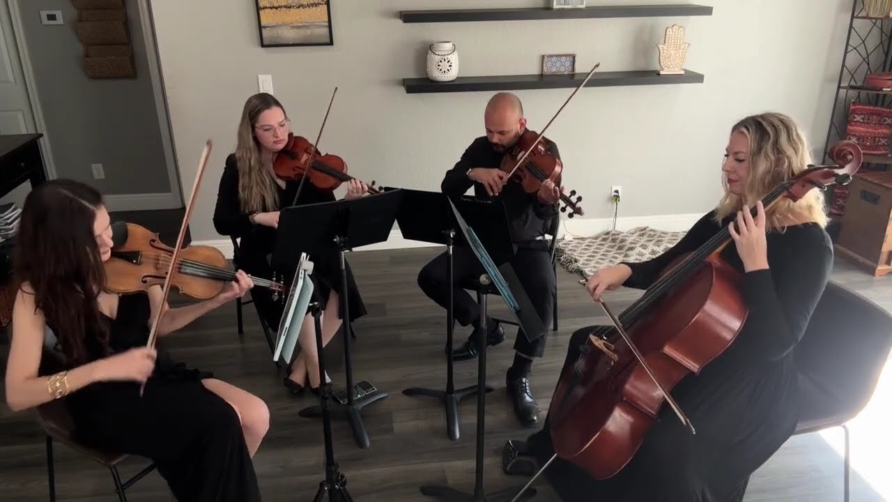 Promotional video thumbnail 2 for Perle Noire String Musicians