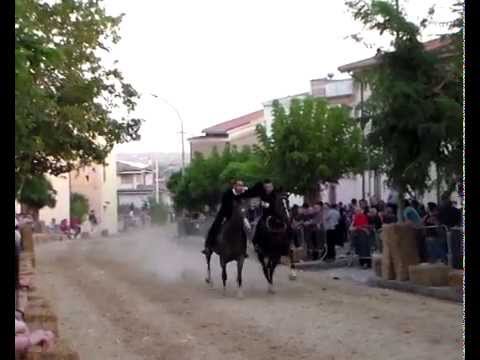 pariglie  silanus 11.08 .2014