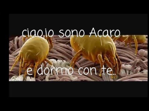 I migliori mezzi da lyambliya A che il dottore andare a vermi al bambino