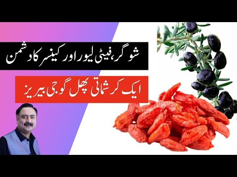 Goji Berry Ke Fayde - Gojji Berry in Pakistan, Benefits, Types and How to Use Red & Black Berries
