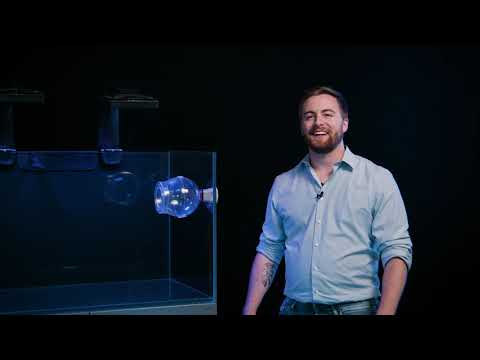 Nyos® Floating Fish Trap