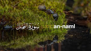 Download lagu Surah An-Naml سورة النمل في شيخ حني رفاعي | Tadabbur Daily mp3