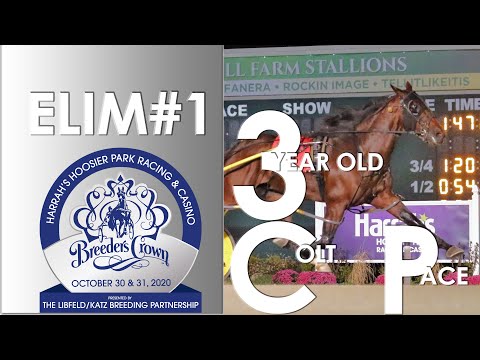 2020 Breeders Crown Elim#1 - Cattlewash - 3CP