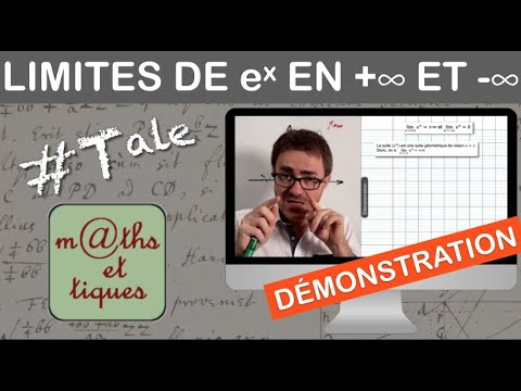DEMONSTRATION: Limits in +∞ and in –∞ of the exponential function - Terminal