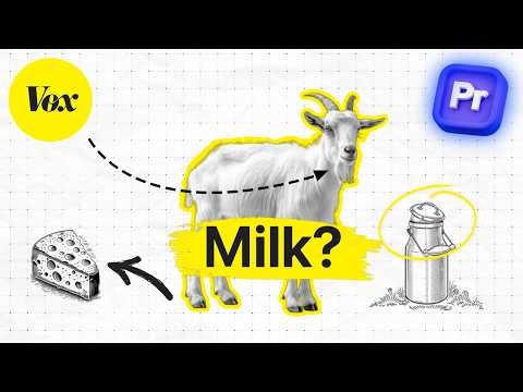 How To Animate Images Like VOX in Premiere Pro