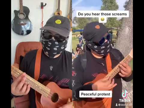 Twelfth Street Rag Protest Ukulele