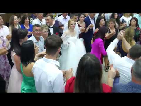 Cristina Stanescu, Gabriel Zanfir si Taraful Paul Stanga-Hore miscate (Nunta loc.Talea, jud.Prahova)