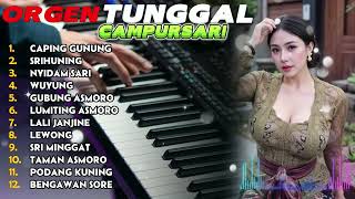 Download lagu CAPING GUNUNG - ORGEN TUNGGAL CAMPURSARI TERBAIK 2026 mp3