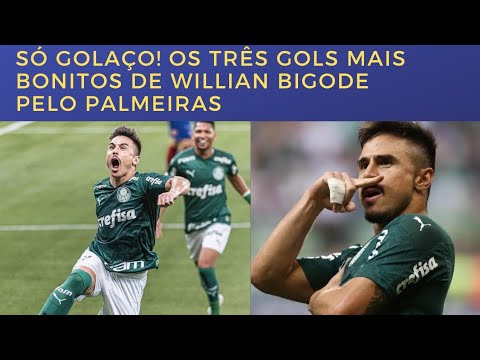 Os 3 gols mais bonitos de Willian Bigode pelo Palmeiras!
