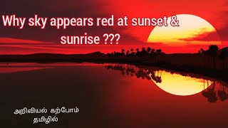 why sky is red during sunrise and sunset|light scattering|tamil|