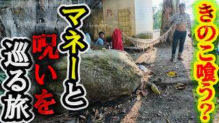 カンボジア 幻覚キノコ大洞窟
