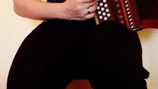 The irish washerwoman - Traditional - Nicole Sp.