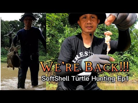 Ang Panghuhuli ng Ahas-Pagong