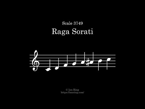 Scale 3749: Raga Sorati — वीडियो थंबनेल