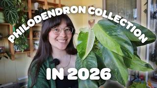 My Philodedron Houseplant Collection in 2026!