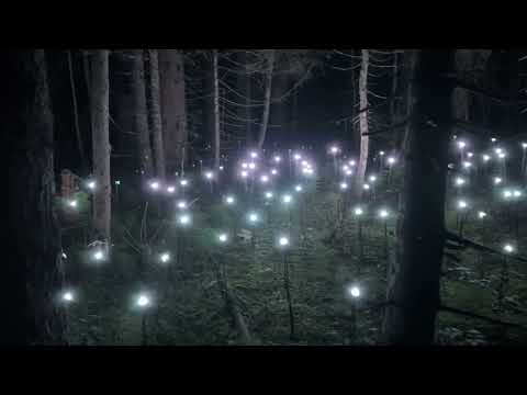 Alta Lumina - les Gets - 092022