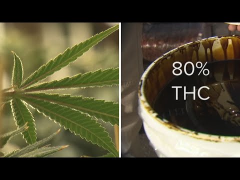 marijuana ajută să piardă grăsime