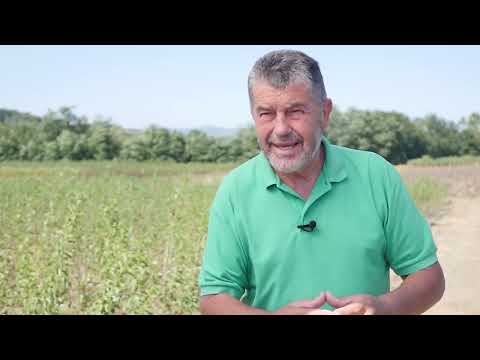 Agro karavan ep.143 - Trstenik - 27.09.2020.