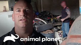 Thumbnail del capítulo