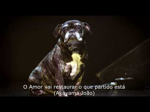 O Amor Vai Restaurar, O Que Partido Esta - João…