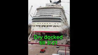 🛳️CARNIVAL Dream in dry dock🌴#shorts