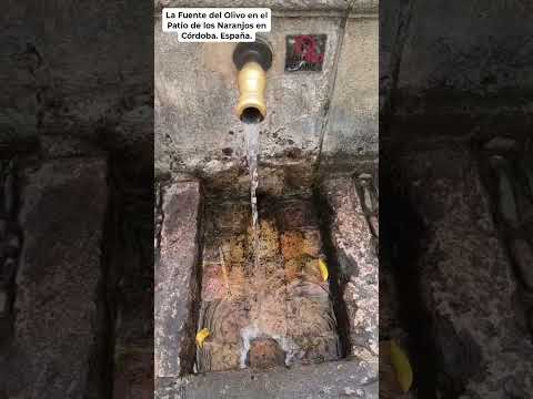 LA FUENTE DE SANTA MARÍA O LA FUENTE DEL OLIVO EN EL PATIO DE LOS NARANJOS EN CÓRDOBA. España.