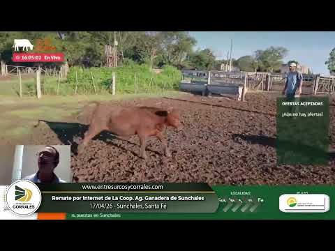 17-04-26 - Remate por Internet de la Coop. Agricola Ganadera de Sunchales -  Santa Fé