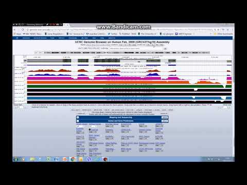 How to visualise RNAseq gene expression data on the UCSC genome browser (tutorial 3)