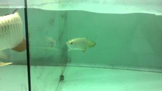 IMG 4623