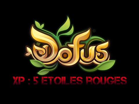 comment s'abonner facilement a dofus