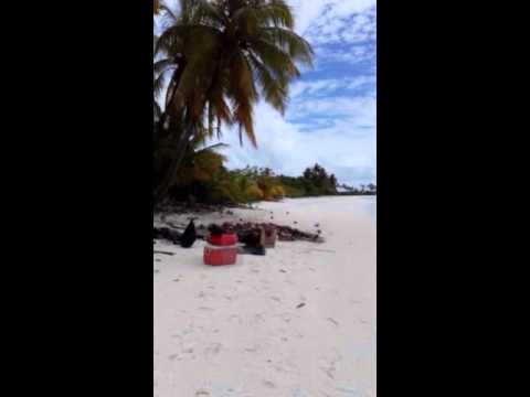 Teekawa 12-12-2015 (1/3)