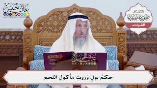 [113] حكمُ بول وروثِ مأكولِ اللحم - عثمان الخميس