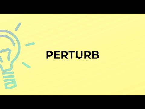 What is the meaning of the word PERTURB?
