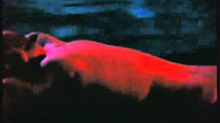 Living Dreamtime   Exploring the Water Element