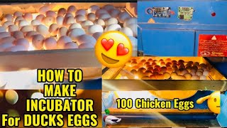 Best Incubator For Chicks 🐥 And Ducks 🦆 Ducks ky Eggs Bi Incubator Ma rakh diye 😍