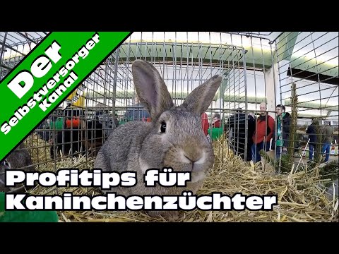 , title : 'Profitips zur Kaninchenhaltung und Rassekaninchenzucht'