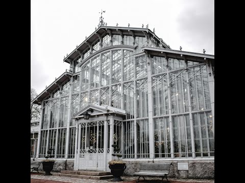 Video thumbnail DDyHMryhvsw