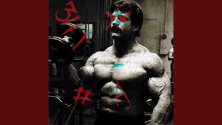 Cover art for PR PHONK