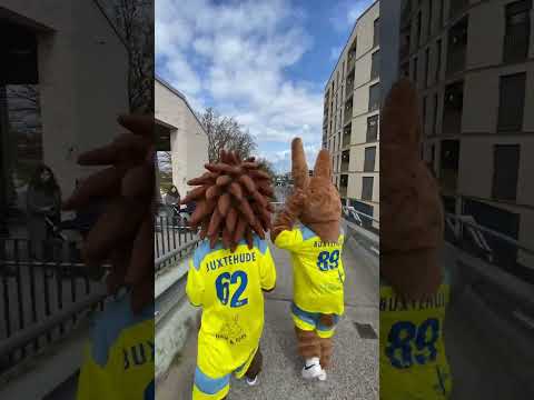 Hasi&Buxi auf dem Weg zur CU Arena