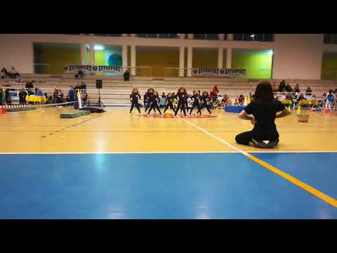Gymgiocando FGI Regionale 2019