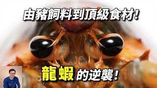 [問卦] 為什麼很多動物進化的這麼好吃?