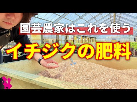 果樹の根元に肥料を与える時期は？品種ごとにどのような肥料を与えればよいですか？  庭園