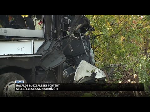 Halálos buszbaleset történt Seregélyes és Sárosd között