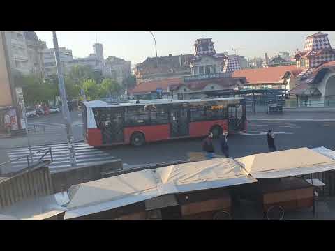 zeleni venac beograd