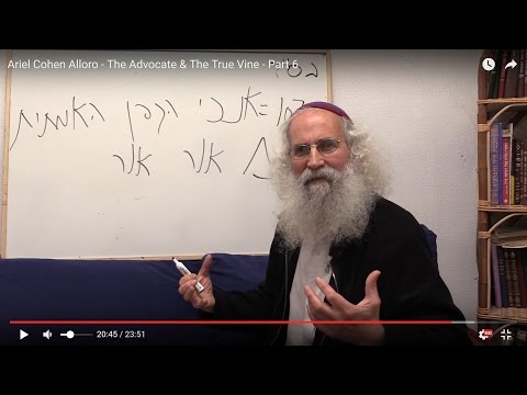 Ariel Cohen Alloro - The Advocate & The True Vine - Part 6
