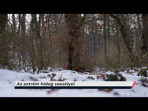 Híradó – 2026.01.08. – Csütörtök