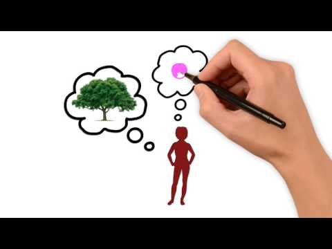 003 The Story of Man's Fall into Sin and Death