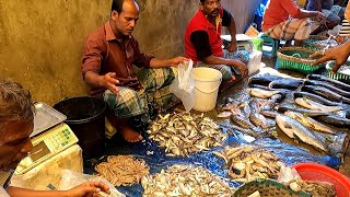 Amazing Bangladeshi Fish Market | People Activities In Fish Market | Fish Market, Seafood, Prawn