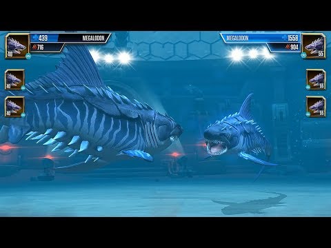 MEGALODON VS MEGALODON - AQUATIC TOURNAMENT || JURASSIC WORLD THE GAME