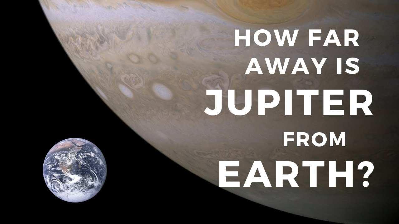 How Much Money Do Conservators Make? Tipseri